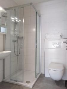 uma casa de banho com um chuveiro, um WC e um lavatório. em Seeappartements Christiane Haus 95 em Leinsdorf