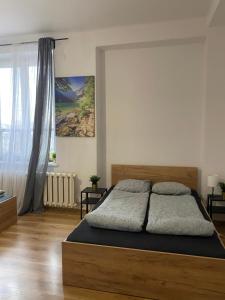 1 dormitorio con 1 cama grande en una habitación en Cracow Old Town Rooms, en Cracovia