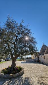 Foto dalla galleria di Casa Relax Isabelle ad Alberobello