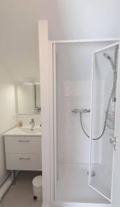 Appartement Ty Cosy في كويبيرون: حمام مع دش ومغسلة