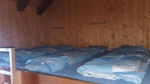 2 Etagenbetten in einem Zimmer mit Holzwänden in der Unterkunft Skihütte Obererbs in Elm
