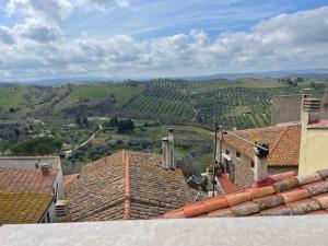 vistas a un viñedo desde los tejados de las casas en Saturnia Country Loft Montemerano ( Terme a 6 km), en Montemerano