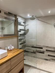 a bathroom with a glass shower and a sink at Arthur Properties Rue d'Antibes in Cannes