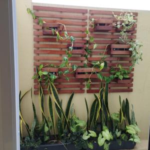 a wall with plants in front at Flat Santa Cruz II in Santa Cruz do Sul