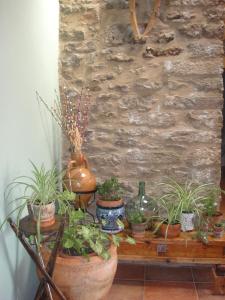 a table with potted plants on top of it at Casa Folch in Castellfort