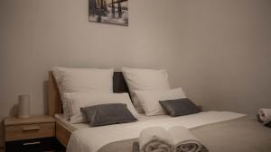 Gallery image of Apartman Central Pisak in Pisak +22 photos