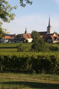 a field with a town with a church in the background at Le Grenier Des Arômes Au Domaine Wittmann in Mittelbergheim