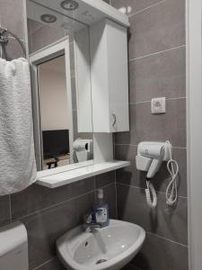 uma casa de banho com um lavatório e um espelho em Apartman Milena Temerin em Temerin