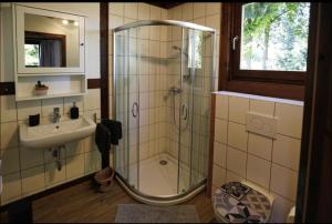 un baño con ducha y lavabo en Hof Lillge, en Schorfheide