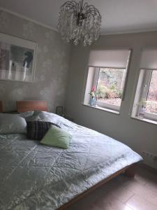 1 Schlafzimmer mit einem Bett mit einem Kronleuchter und 2 Fenstern in der Unterkunft Bei Annemarie in Trier