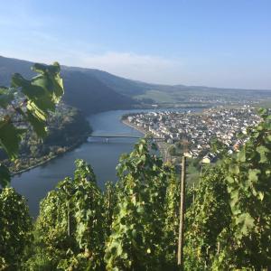 Blick auf einen Fluss von einem Hügel mit einer Stadt in der Unterkunft Bei Annemarie in Trier