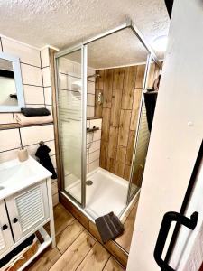 een douche met een glazen deur in de badkamer bij Seefahrer Musik- & Kreativhotel in Osten