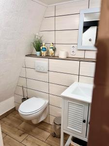 a bathroom with a toilet and a sink at Seefahrer Musik- & Kreativhotel in Osten +38 photos