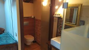 een badkamer met een toilet, een wastafel en een spiegel bij Hotel Rural Cayetana in Piedrahita