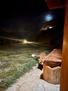 un cervo steso sull'erba accanto a una panchina di notte di Baita “Oasi della Volpe” a Cà Paini