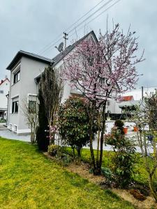 een huis met een bloeiende boom in de tuin bij Guesthouse David in Augsburg
