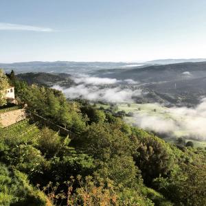 widok na dolinę pełną chmur i drzew w obiekcie Guest House w mieście Campagnatico