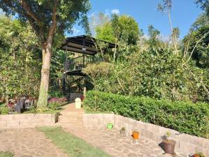 un patio con una sombrilla negra y algunas plantas en Casa de Alicia en Concepción de Ataco