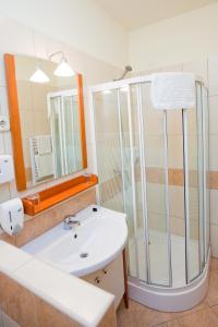 Göcsej Palatinus Étterem és Panzió 8900 Zalaegerszeg, Zalaegerszeg, Dózsa Liget 1, kép - 2