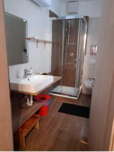 ein Bad mit einem Waschbecken, einer Dusche und einem WC in der Unterkunft Appartamento Merano nel cuore in Meran