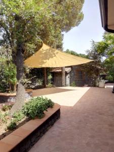 un gran paraguas amarillo sentado junto a un árbol en La dependance Etna, en Biancavilla