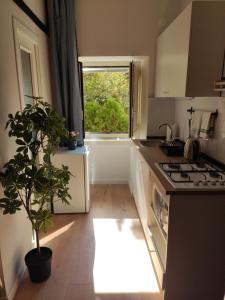 a kitchen with a plant and a window in it at Misseregram in Naples