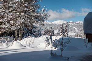 Fotografia z galérie ubytovania Flat Polar - Megève - Mont d'Arbois v destinácii Megève