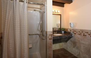 a bathroom with a shower and a sink at Seven Springs Resort Properties in Champion