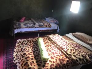 pokój z 2 łóżkami i prześcieradłami zwierzęcymi w obiekcie Camp birds traquets of SaharaProject house mars six doors w Marakeszu