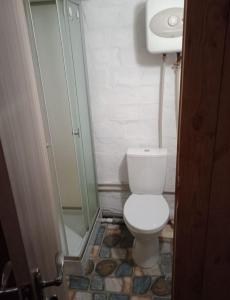 a bathroom with a shower and a toilet and a sink at Дача, будинок,баня in Leplyavo
