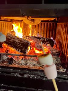 una persona está cocinando comida en un horno en Baita “Oasi della Volpe” en Cà Paini