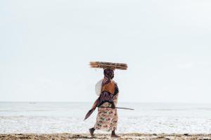 Hosté ubytování Sahari Zanzibar
