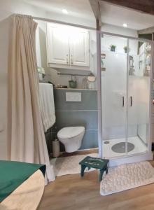 ein Bad mit einer Dusche und einem WC. in der Unterkunft Le petit nid d'aigle - Giverny in Giverny