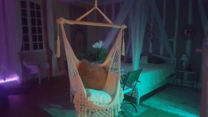 una hamaca colgante con una flor en un dormitorio en Chambre bohème avec balnéo, en Idrac-Respailles
