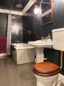 La salle de bains est pourvue de toilettes, d'un lavabo et d'une baignoire. dans l'établissement Cosy Courtyard Apartment in Kemptown, à Brighton et Hove