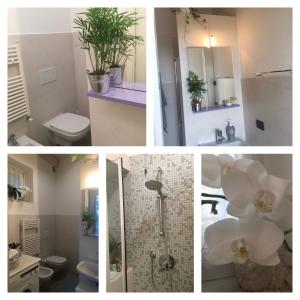 un collage de quatre photos d'une salle de bains avec des plantes dans l'établissement Garden Room, à Cavaion Veronese