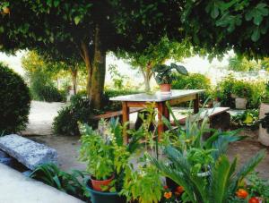 una mesa con macetas en un jardín en Casa Quelhas, en Besteiros