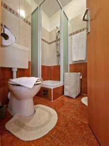 a bathroom with a toilet and a shower at Apartment Iva in Trogir +35 photos