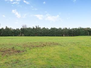 een groot groen veld met bomen op de achtergrond bij Blackberry - 19263 in Horsford
