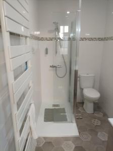 La salle de bains blanche est pourvue d'une douche et de toilettes. dans l'établissement Au coeur de la cité des Bourbons, à Moulins 8 autres photos