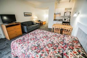 海恩尼斯的住宿－Courtyard Resort，一间卧室配有一张床和一张沙发,还设有一间厨房
