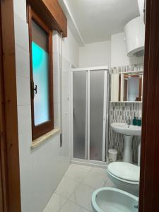y baño con ducha, aseo y lavamanos. en Da Mamma IUN Q9152, en Santa Maria Navarrese