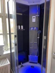 a shower with a blue tub in a bathroom at Apothekergaarden Stege stuen mod gårdhaven in Stege