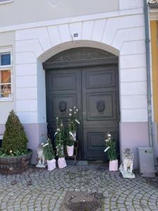 Czarne drzwi z kwiatami przed nimi w obiekcie Apothekergaarden Stege stuen mod gårdhaven w mieście Stege