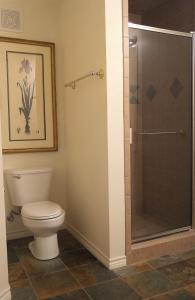 een badkamer met een toilet en een glazen douche bij Dogwood Springs Lodgings in Mineola