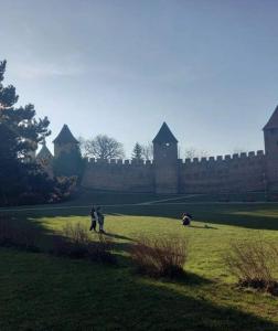 zwei Menschen stehen auf einem Feld vor einem Schloss in der Unterkunft soukromý apartmán Přemysl in Nymburk