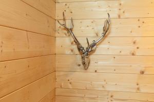 Mynd úr myndasafni af Biochalet Haus 1 í Gleinstätten