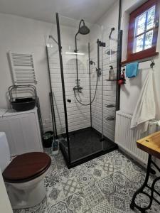 a bathroom with a shower and a toilet at Nad Potokiem z Alpakami in Stronie Śląskie