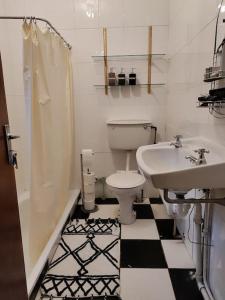 a bathroom with a toilet and a sink and a shower at Tai Chi House, T Dempsey's house in Waterford