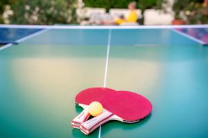 uma raquete de pingue-pongue e bolas numa mesa em Casa Elisabetta Apartmanház em Gárdony